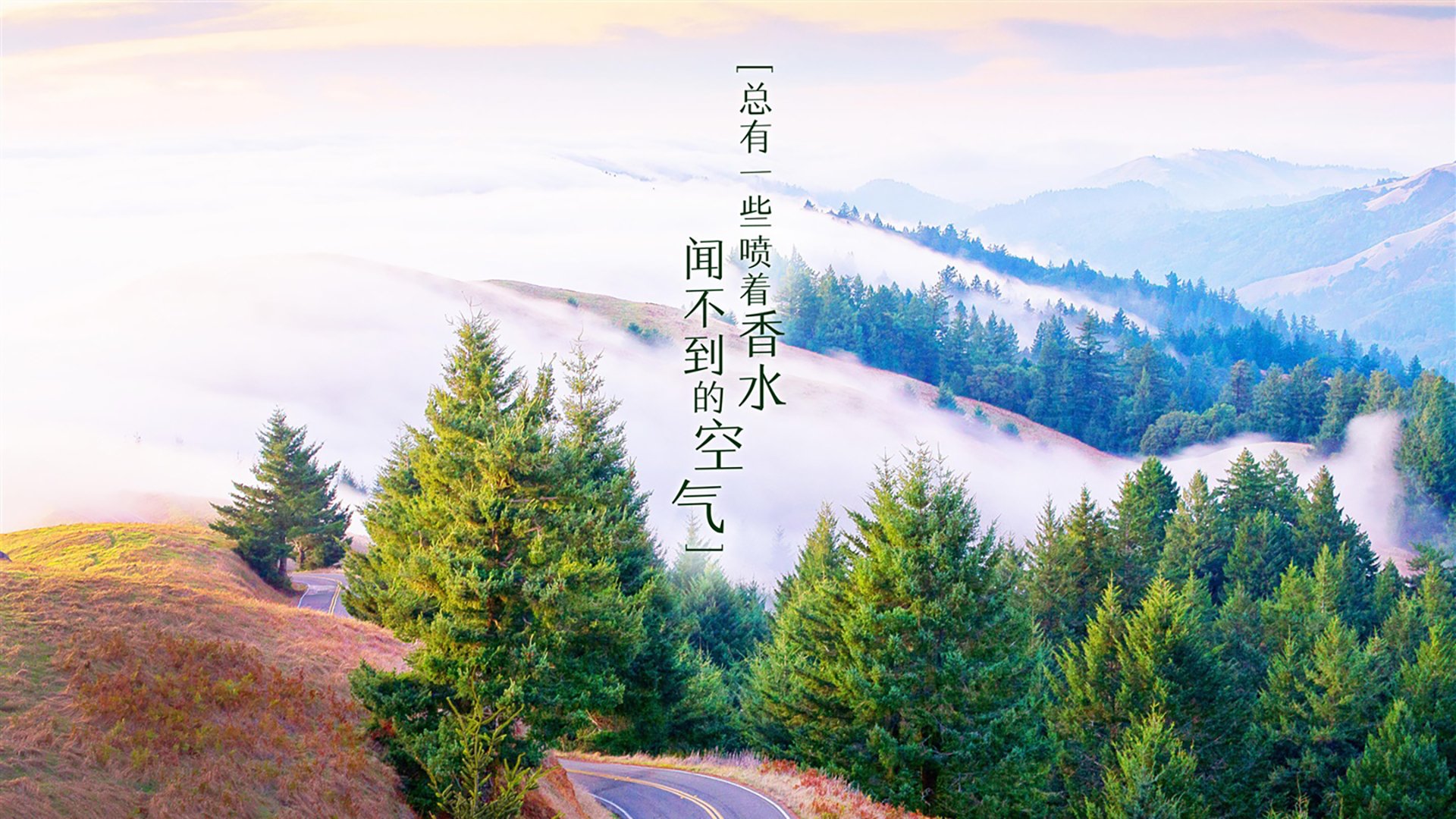 阿根廷奥运队将帅一心，势不可挡，奥运会阿根廷国家队