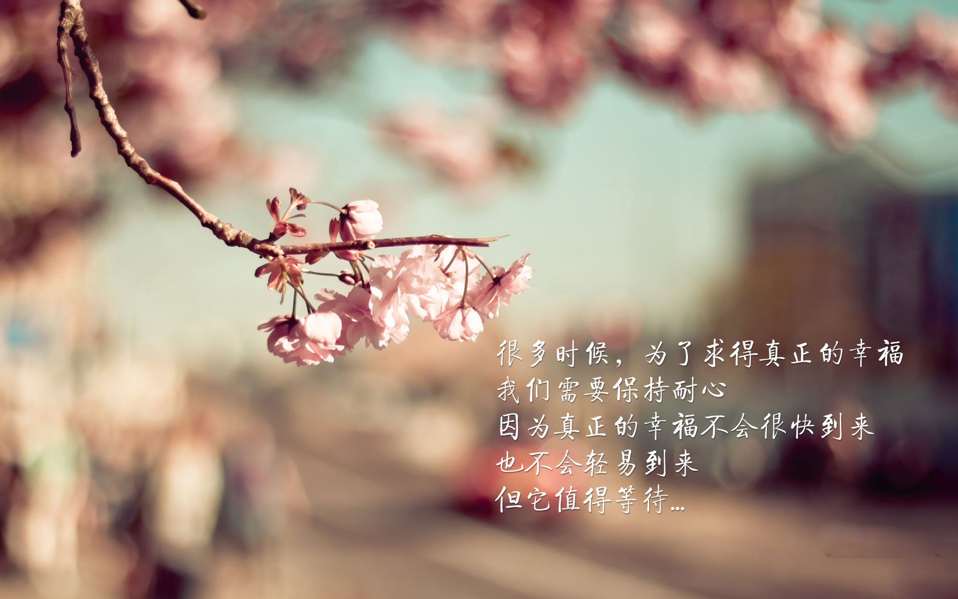 爱游戏平台-青少年篮球“梦想计划”全国推广，激励多元化发展路径，青少年篮球宣传口号