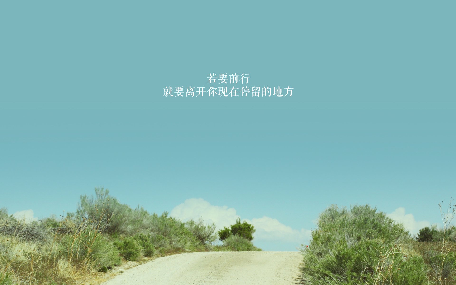 爱游戏平台-狼队主场取胜，打破连败纪录，球队未来一片光明，狼队球胜狼