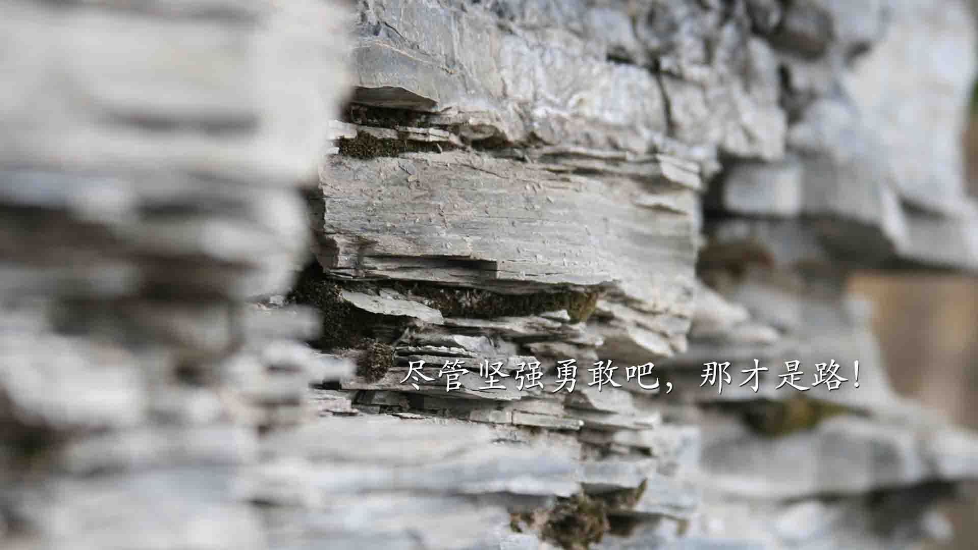 冬奥文化走进校园 激发孩子体育热情，冬奥文化走进校园 激发孩子体育热情的句子