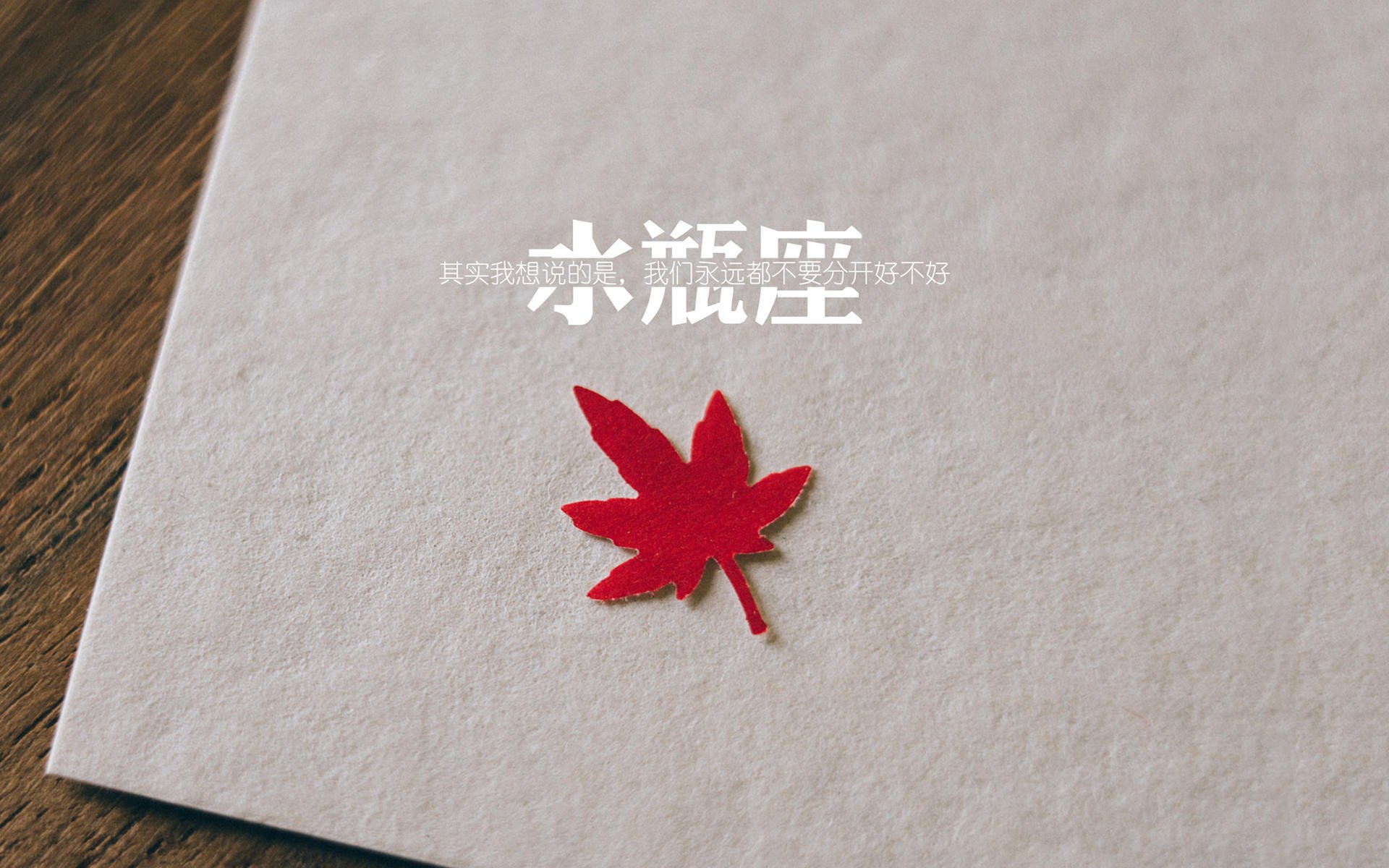 爱游戏体育app-“美洲狮队进入决赛，阿根廷橄榄球迎来新纪元”