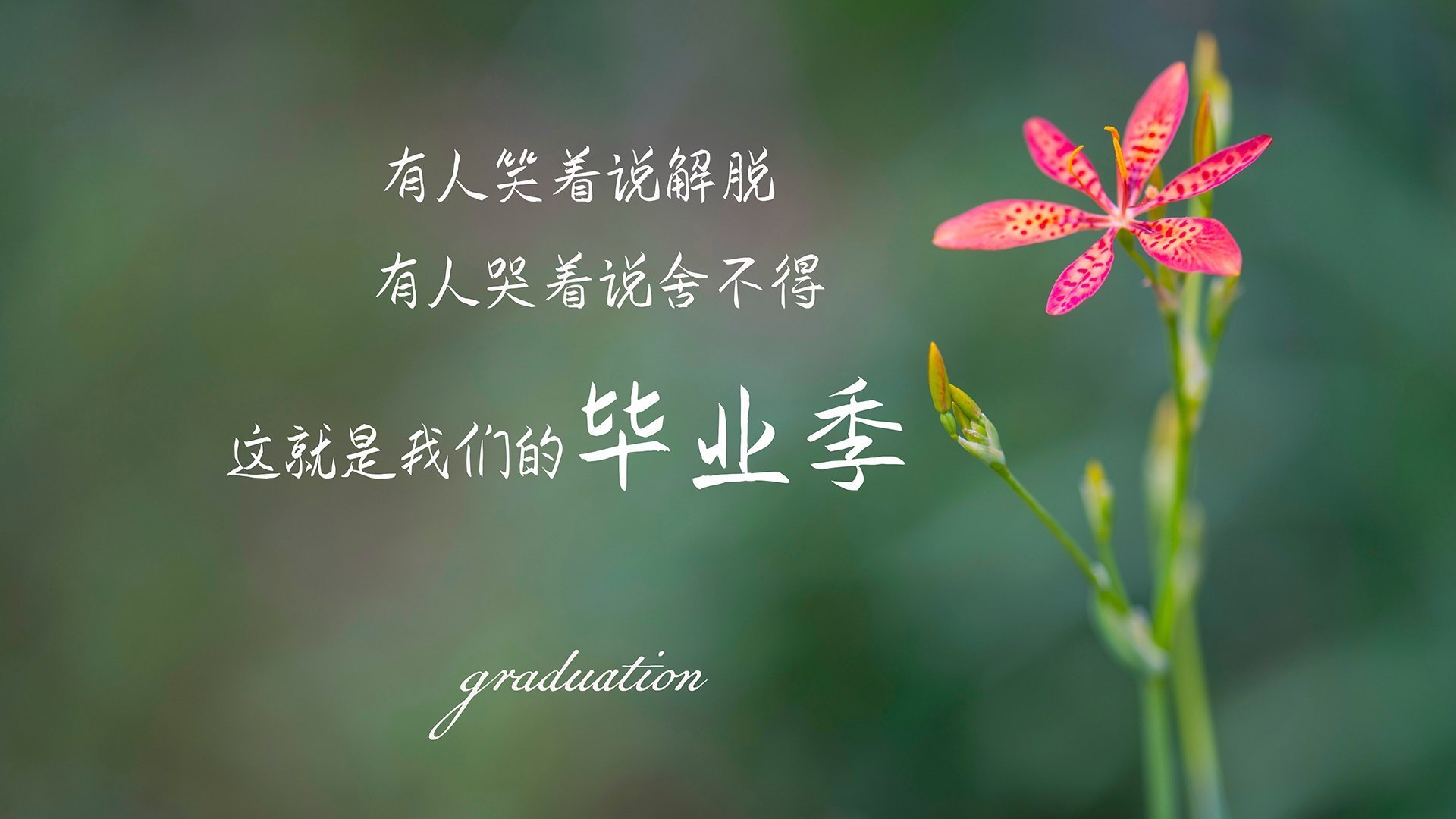 拉尼·帕利斯特决赛发挥无懈可击,帕尼尼利拉德