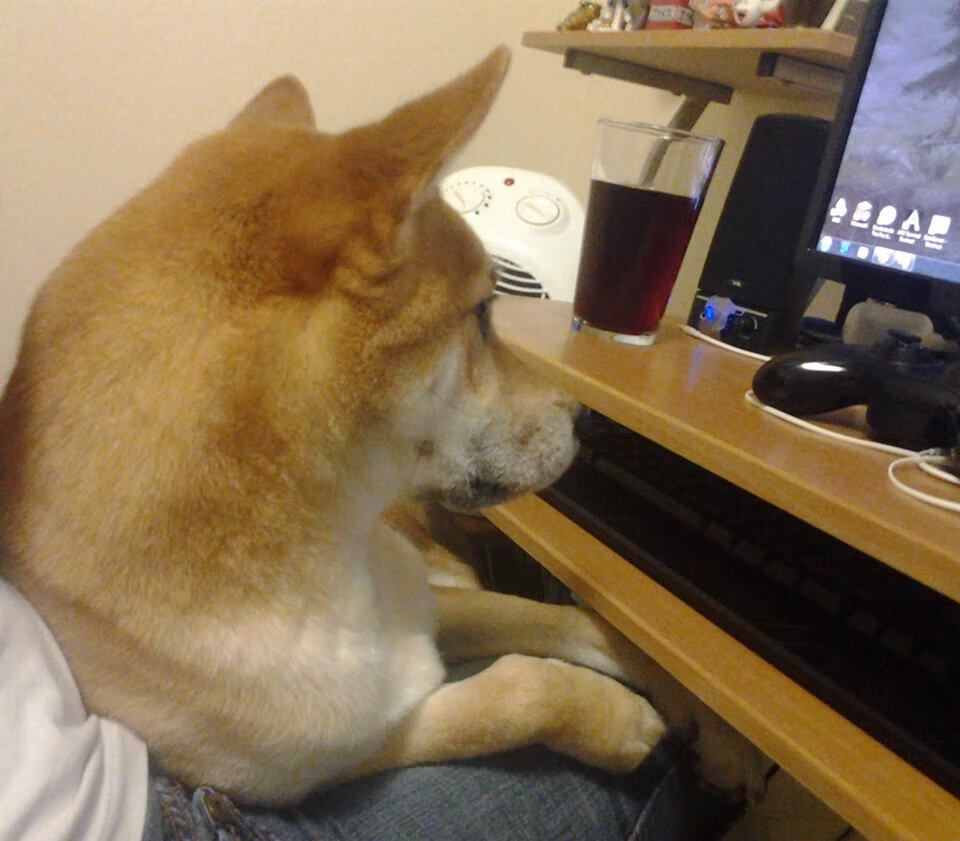 新闻中心发布群众体育健身场地智慧化改造说明书,全民健身场地设施建设意见