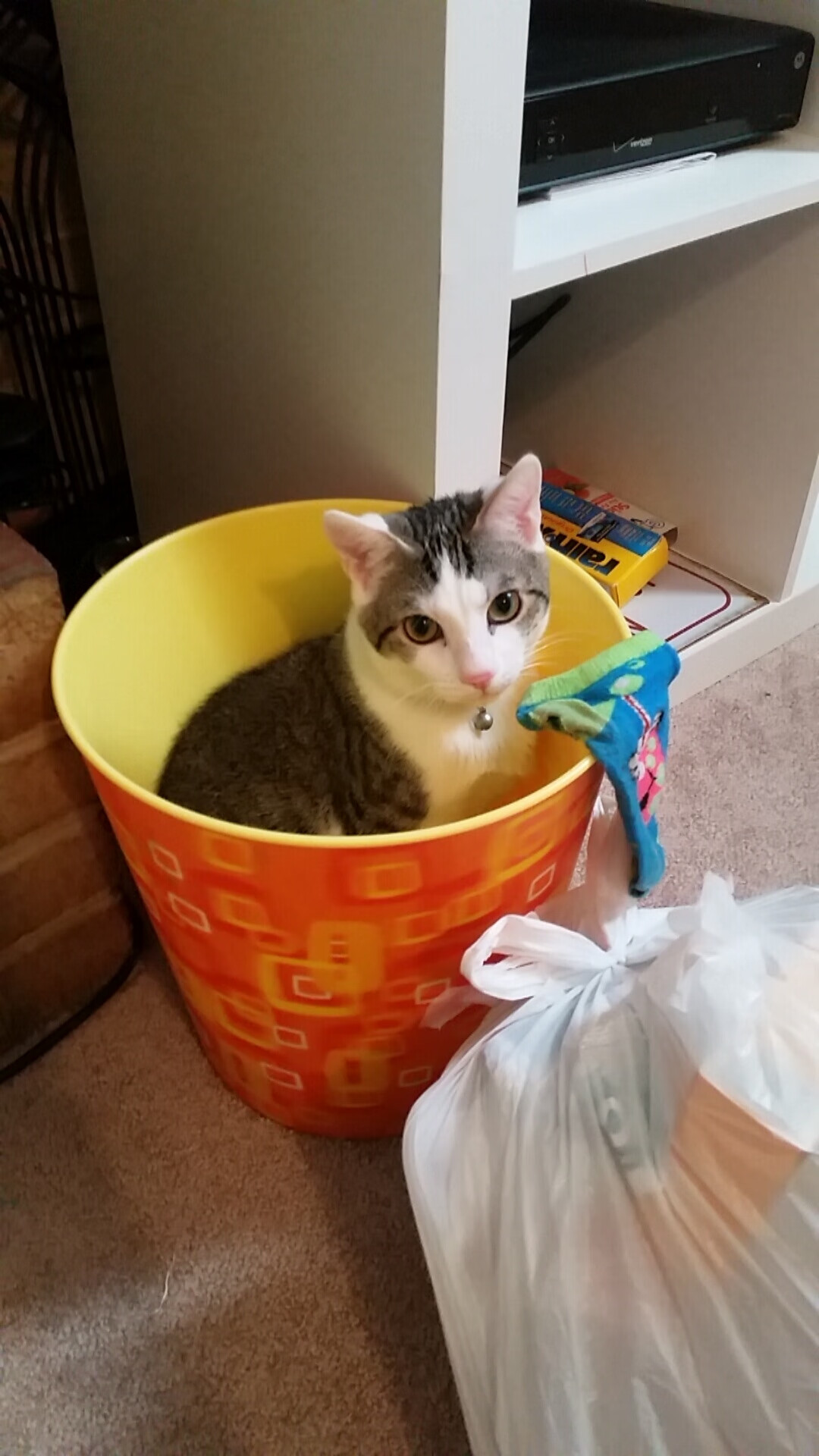 爱游戏官方-欧洲杯经典瞬间：战术变化引爆全场激情，欧洲杯战记