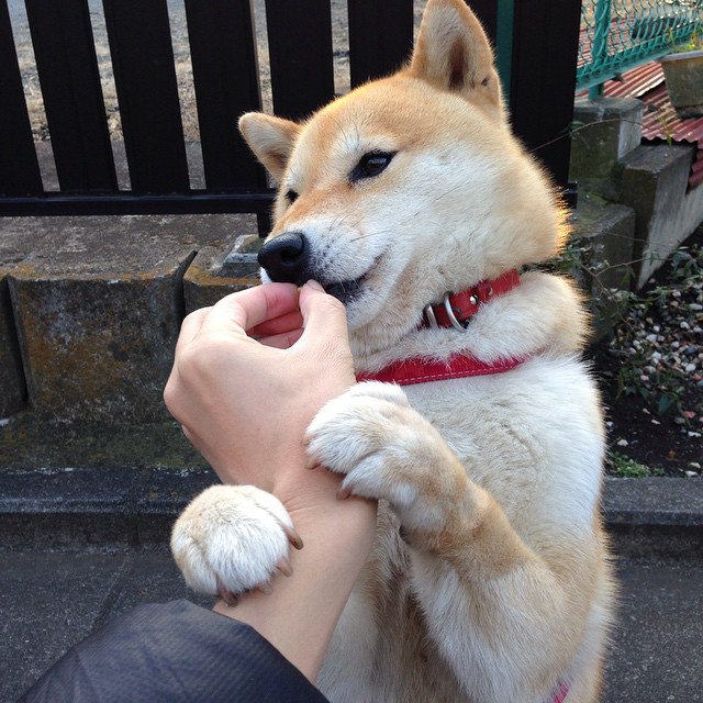 英国男子接力赛场发挥赢得教练肯定,接力 英国